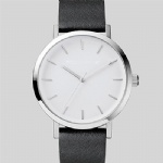Stainless steel watch